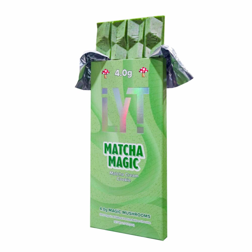 SALE LYT | 4G Magic Mushroom Chocolate